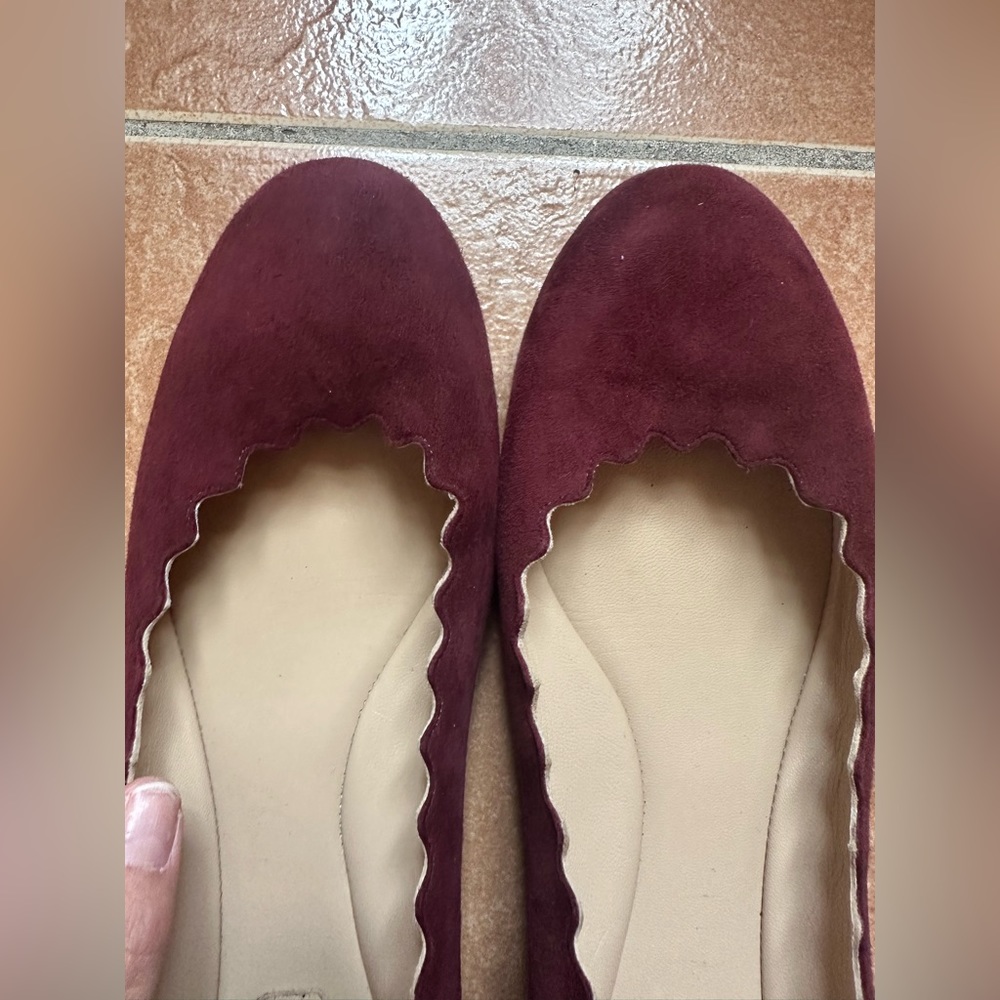 Suede Burgundy Chloe Flats - Gently worn